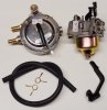 Карбюратор LPG2500 (двигатель LРT210) комплект с газовым редуктором