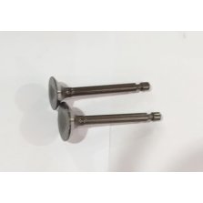 Клапан ST246 комплект 2 шт замена на 01201000140004 + 01201000130004. Замена для арт. 500550034-0001.