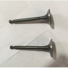 Клапан G250HK комплект 2 шт.