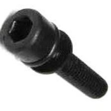 Болт крепления цилиндра бензопилы 245,254 Torx см.0404010402357