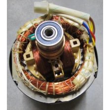 Ротор + статор  Генератора  GG2500