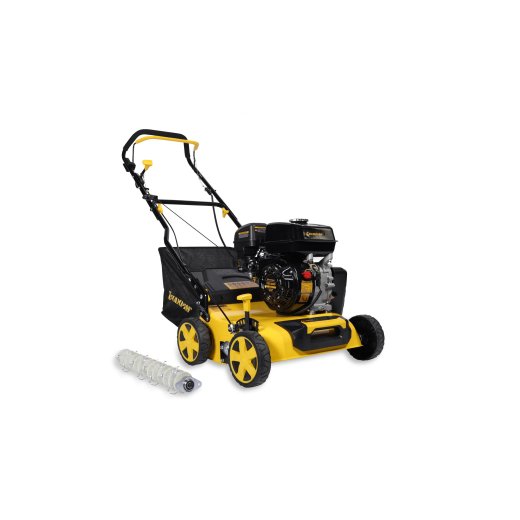 Изображение Бензиновый cкарификатор Champion GSC4840