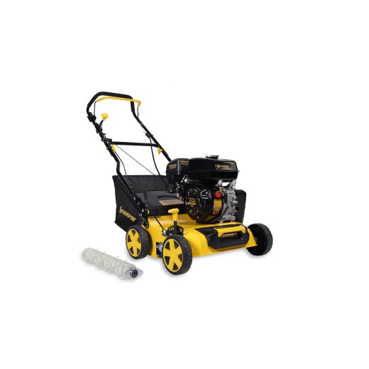 Изображение Бензиновый cкарификатор Champion GSC4840