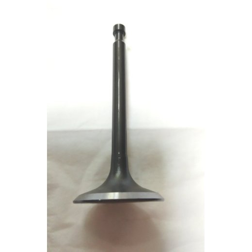 Клапан выпускной  мотопомпы GTP101E/GG7200E,7500E старого образца См. арт. DFF006