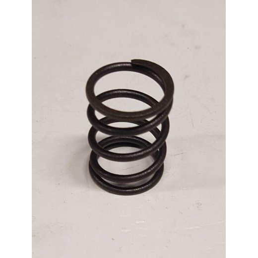 Пружина клапана G100HK См. арт. 12103-Z510110-00A0