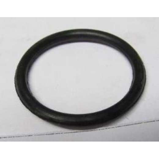 Кольцо корпуса помпы/улитки  мотопомпы GP30 (не поставляется)