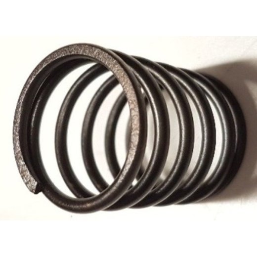 Пружина поршня  мойки HP6300