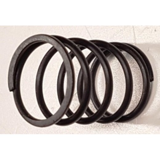 Пружина поршня  мойки HP6250