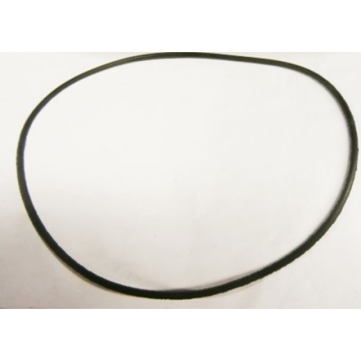 Кольцо уплотнительное корпуса помпы  мотопомпы GP51