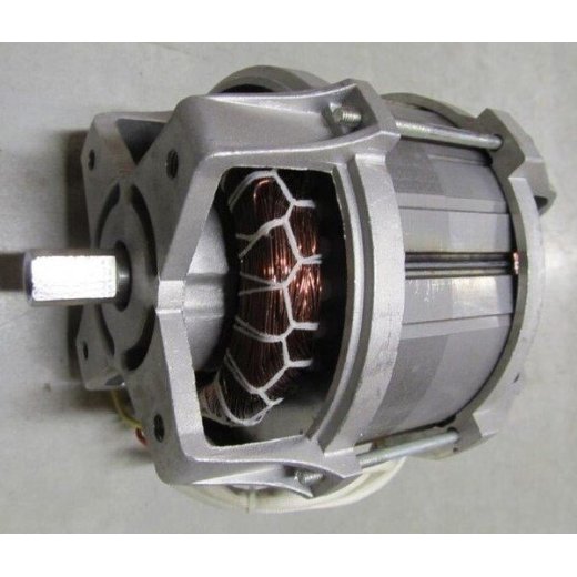 Электродвигатель газонокосилки Champion EM4218